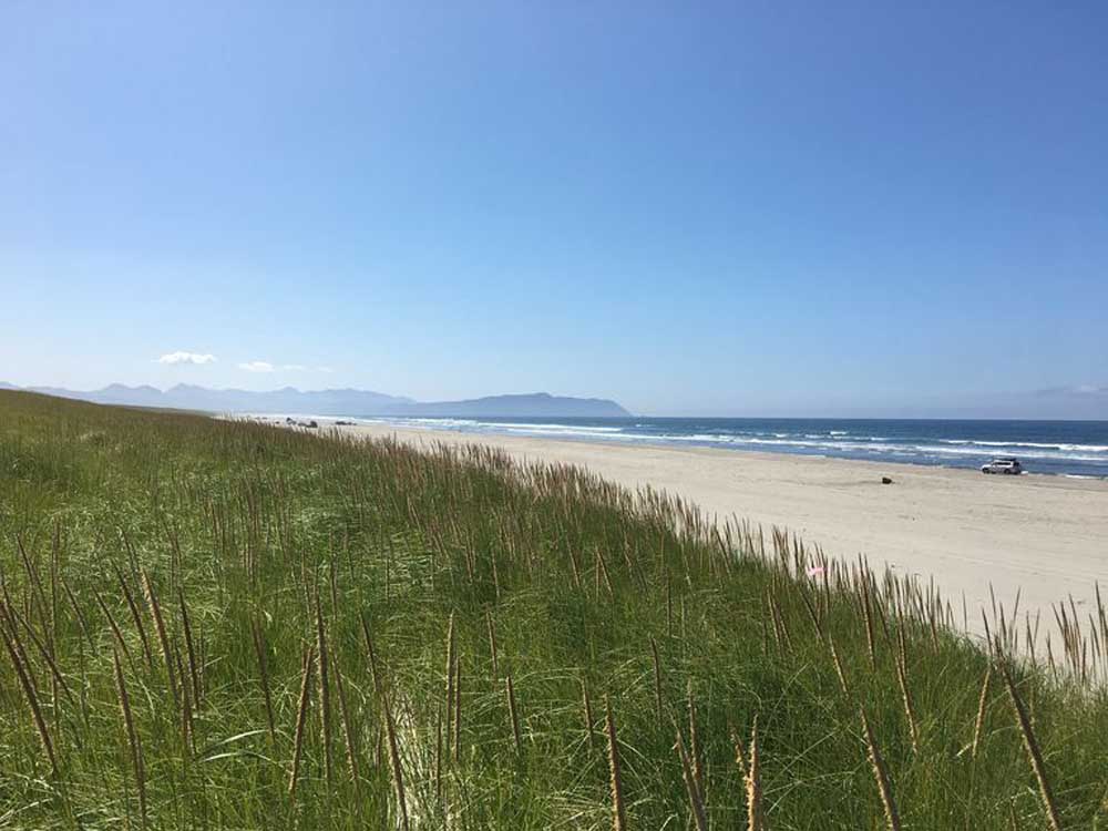 Bomb defused at Sunset Beach 
