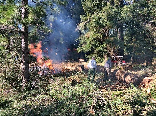 Oregon bill would require home insurers to consider wildfire prevention efforts