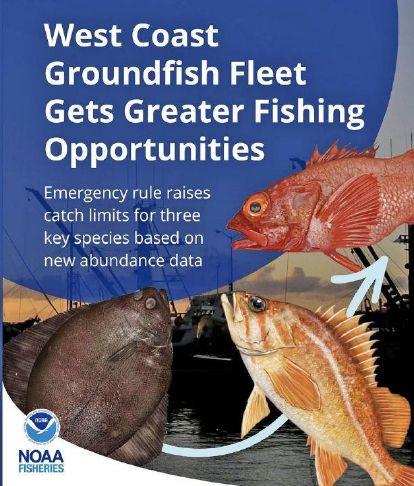 Editorial: Good news for NW groundfish stocks